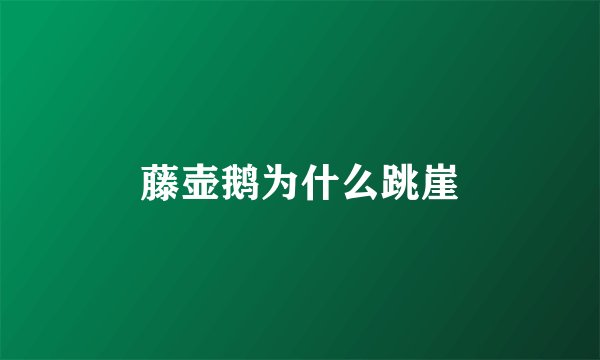 藤壶鹅为什么跳崖