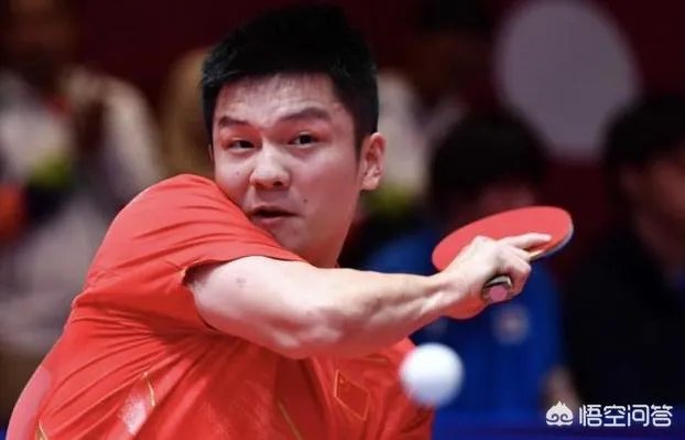 金泽洙评价中国男乒