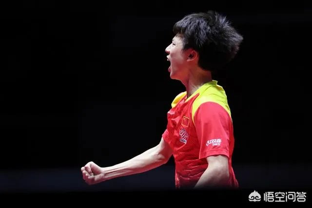 金泽洙评价中国男乒