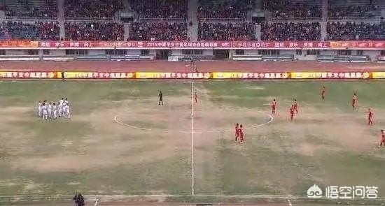 如果国际足联取消卡塔尔2022年的世界杯举办权，哪个国家会接替？