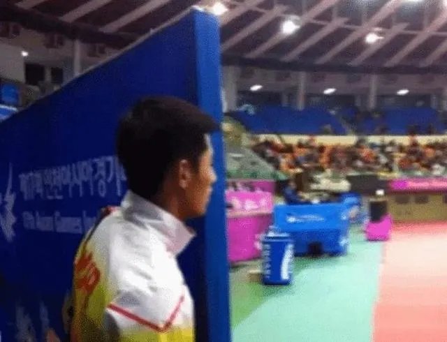 张继科和刘诗雯最后为什么没有在一起？张继科为什么不上赛场了？