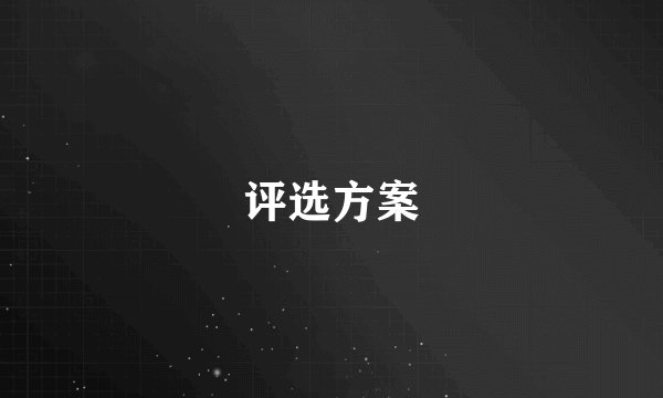 评选方案