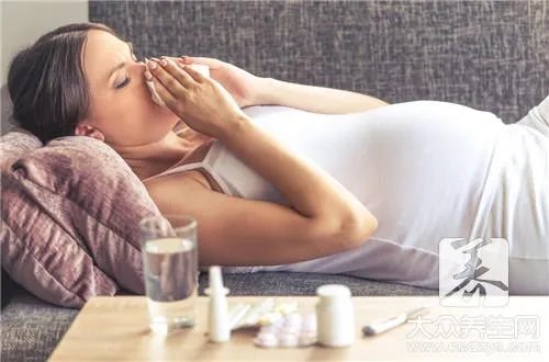 孕妇可以枕茶叶枕头吗