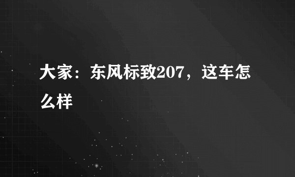 大家：东风标致207，这车怎么样