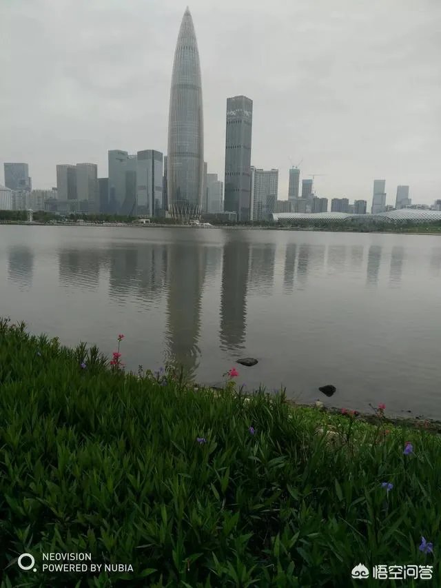 楼市再次回暖，2019年下半年房价会涨吗？