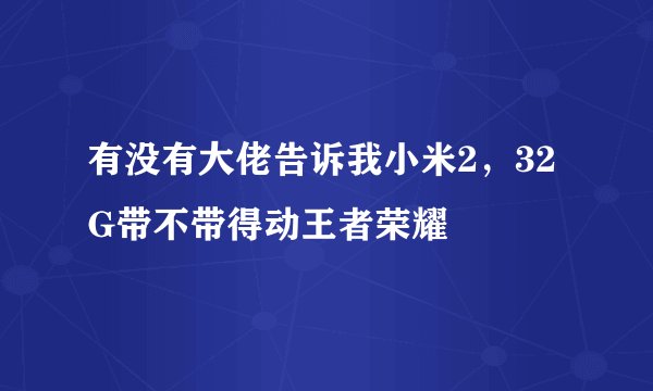 有没有大佬告诉我小米2，32G带不带得动王者荣耀