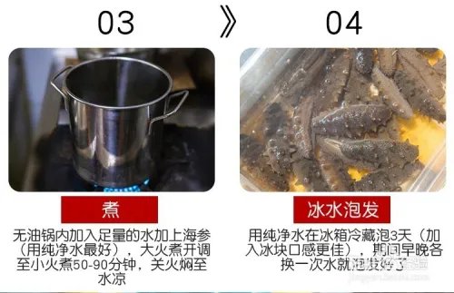 海参怎么泡发?海参泡发详解