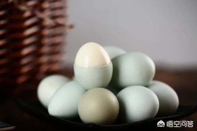 养绿壳蛋鸡有前景吗?有什么好建议?