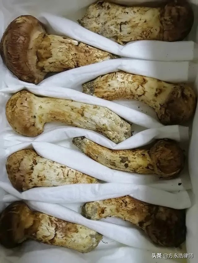 吉林省延吉市怎么样？