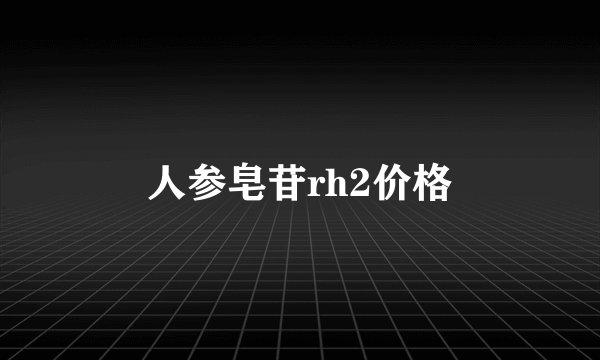 人参皂苷rh2价格