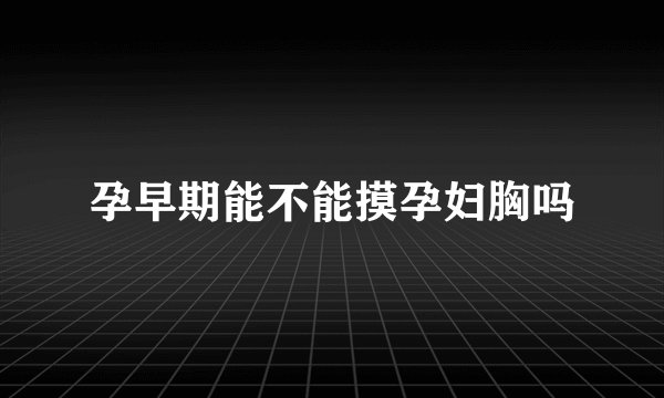 孕早期能不能摸孕妇胸吗