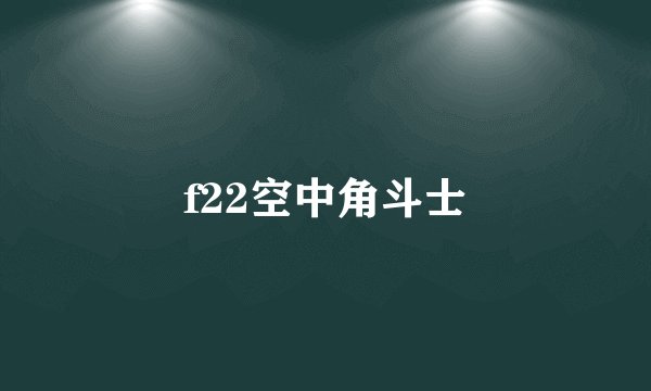 f22空中角斗士