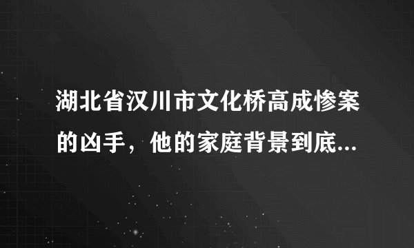 湖北省汉川市文化桥高成惨案的凶手，他的家庭背景到底是怎样的？