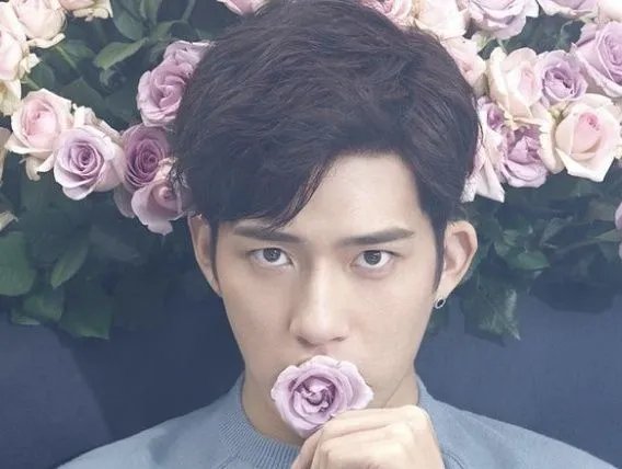 井柏然倪妮的恋爱为什么没有爱情的感觉?