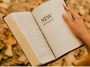 深圳国际学校学费