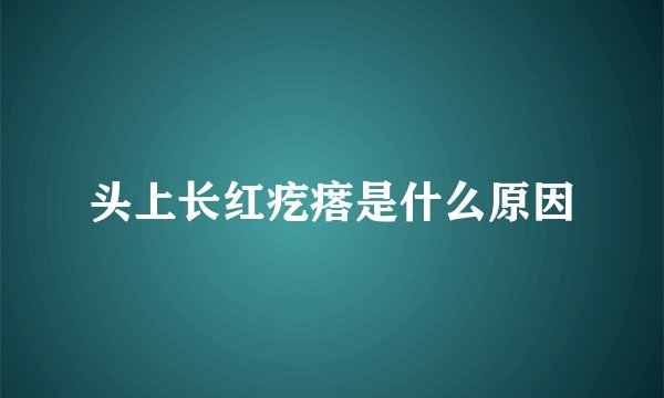 头上长红疙瘩是什么原因