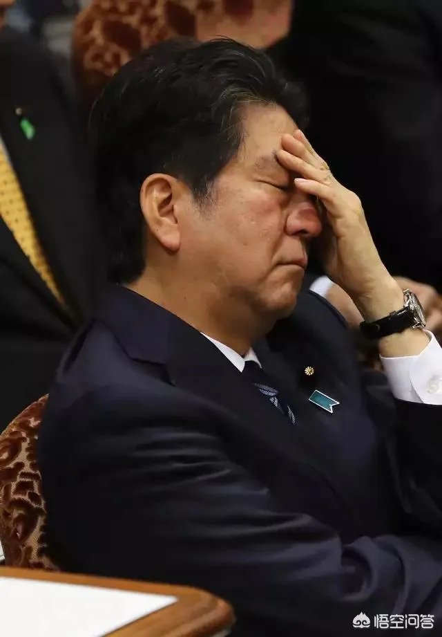 安倍夫人被软禁你怎么看？