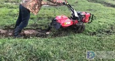 三农问题是指什么