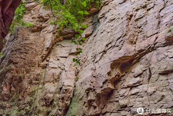 记一次黄河丹峡游记