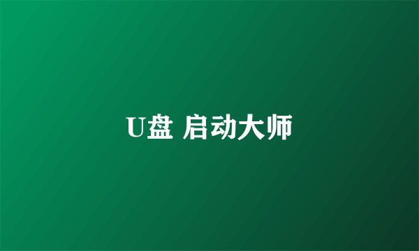 U盘 启动大师