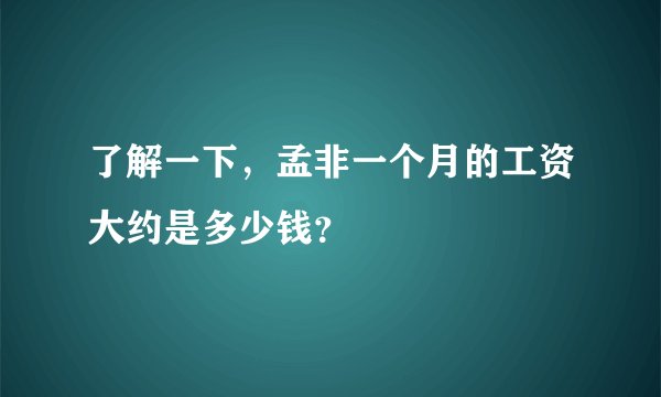 了解一下，孟非一个月的工资大约是多少钱？