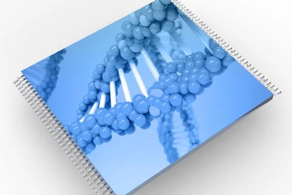 固定化酶的优点