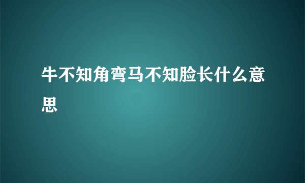 牛不知角弯马不知脸长什么意思
