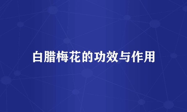 白腊梅花的功效与作用