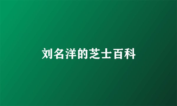 刘名洋的芝士百科