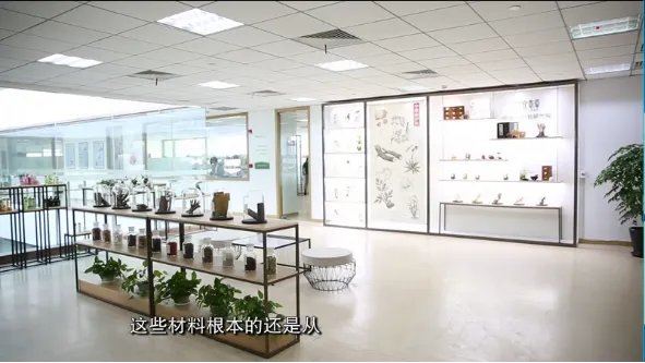 一个有根的品牌相宜本草的回归势不可挡