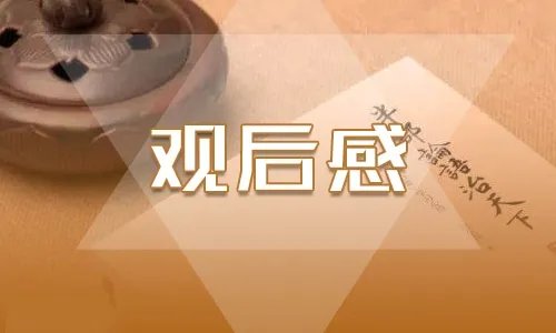 深圳经济特区成立40周年庆祝大会观后感优秀范文作文【5篇】精选