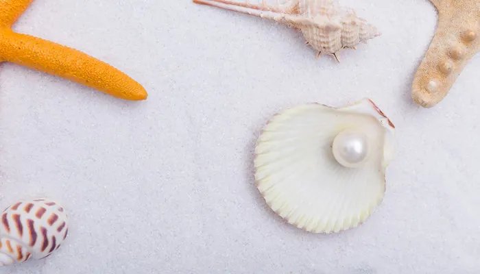 海口特产有哪些