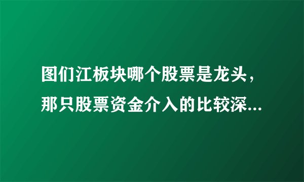 图们江板块哪个股票是龙头，那只股票资金介入的比较深？请分别介绍一下