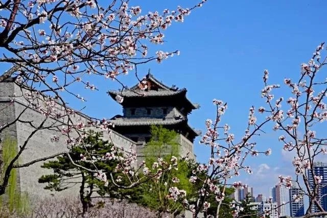 中国的西京在哪里？