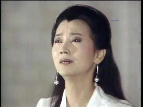 新白娘子传奇中的所有插曲都有哪些？