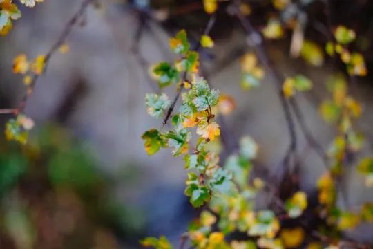 富士X-E3无反相机怎么样?