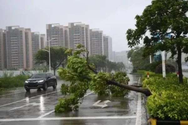 今年第11号台风“轩岚诺”生成，对我国的天气形势是否会有影响？