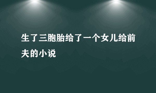 生了三胞胎给了一个女儿给前夫的小说