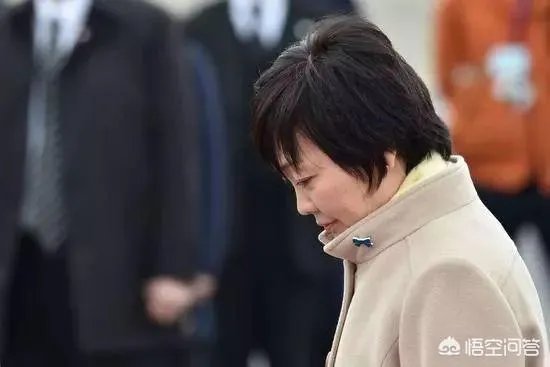 安倍夫人被软禁你怎么看？