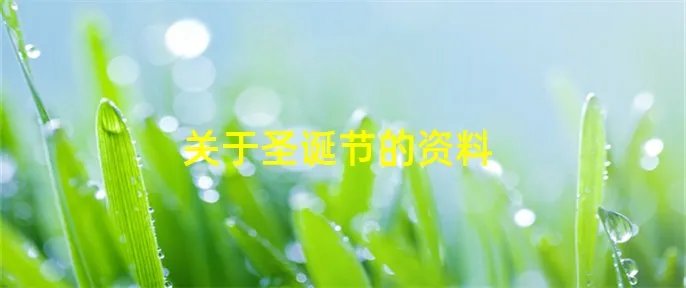 关于圣诞节的资料