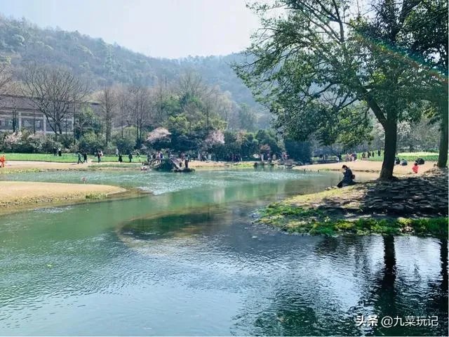 杭州的太子湾公园好玩吗？是否值得周末去玩？