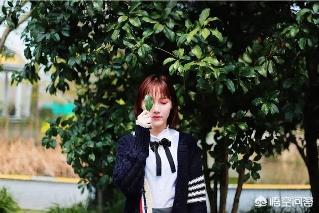 杭州的太子湾公园好玩吗？是否值得周末去玩？