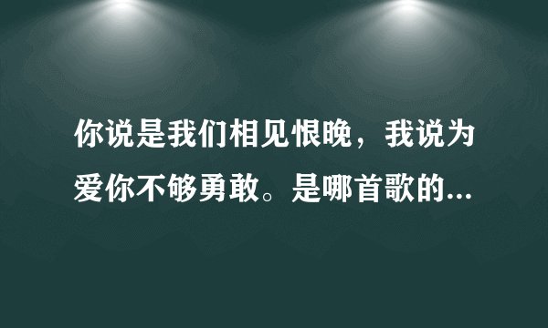你说是我们相见恨晚，我说为爱你不够勇敢。是哪首歌的歌词。演唱者是谁