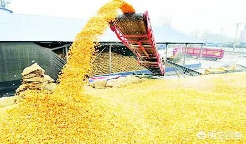 玉米深加工企业对环境有哪些影响？