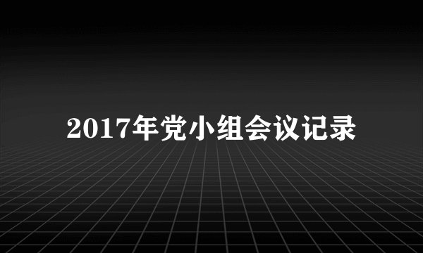 2017年党小组会议记录