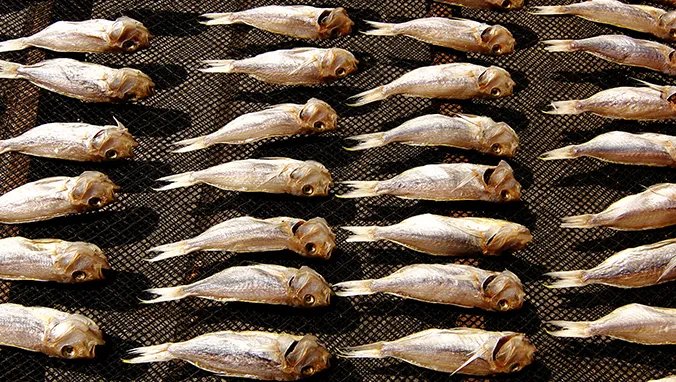 鲈鱼的营养价值