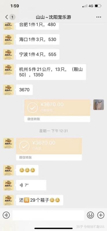 开个宠物店大概多少钱？