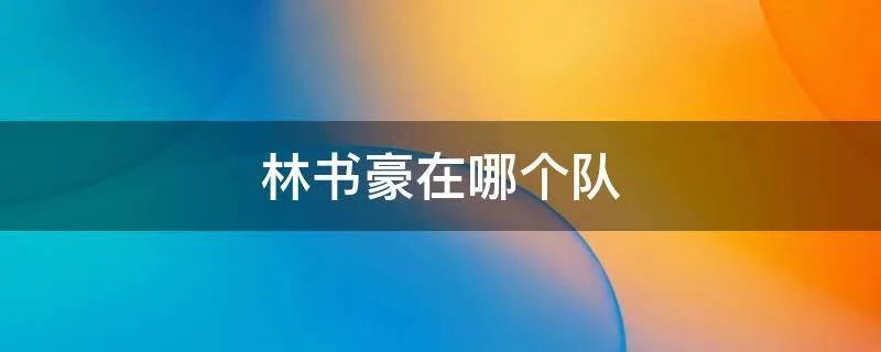 林书豪在哪个队