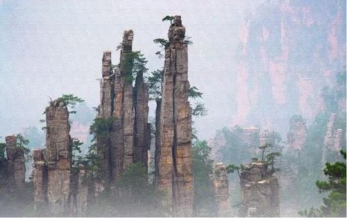 张家界有什么好的旅游公司吗？