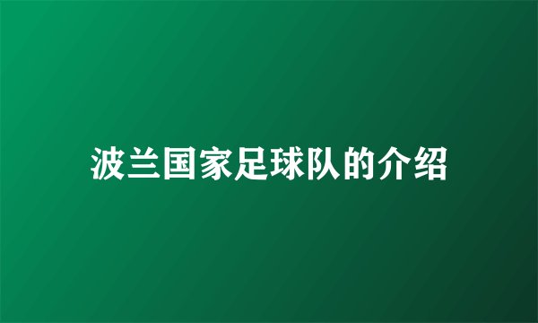 波兰国家足球队的介绍